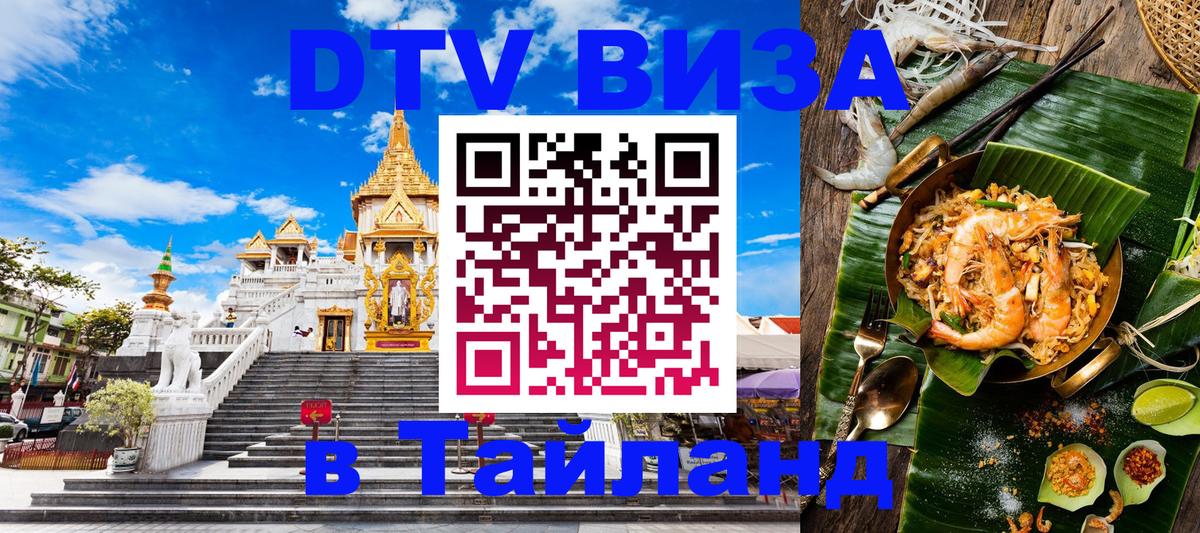 Оформление DTV визы под ключ: стоимость и тарифы, только загранпаспорт - Рубцовск  19.11.2025 